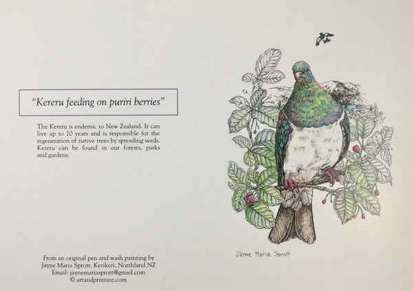 Card, NZ native woodpigeon, Kereru