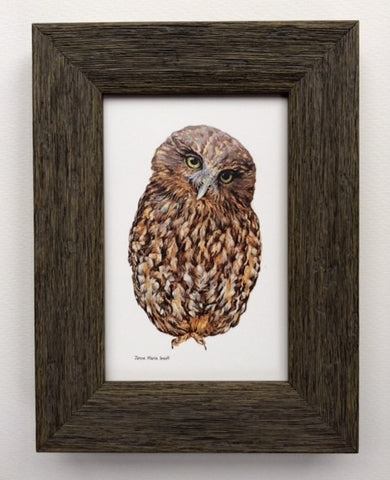 Wooden Framed NZ Native Owl Morepork