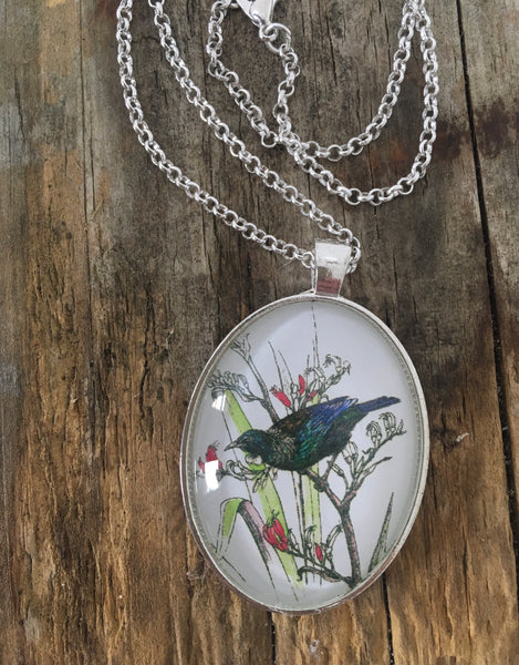 NZ Native Birds Jewellery- Pendants and Brooches