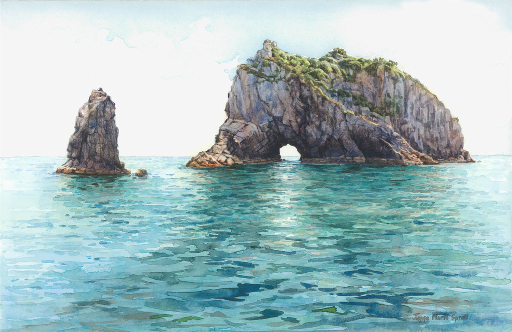 'Hole in the Rock' Painting, Bay of Islands, Paihia, New Zealand.