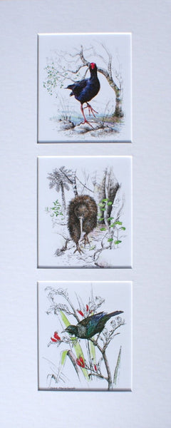 Mount, Triple Upright - NZ Native Birds