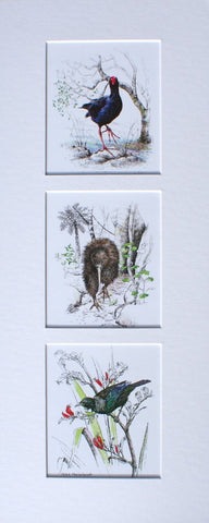 Mount, Triple Upright - NZ Native Birds