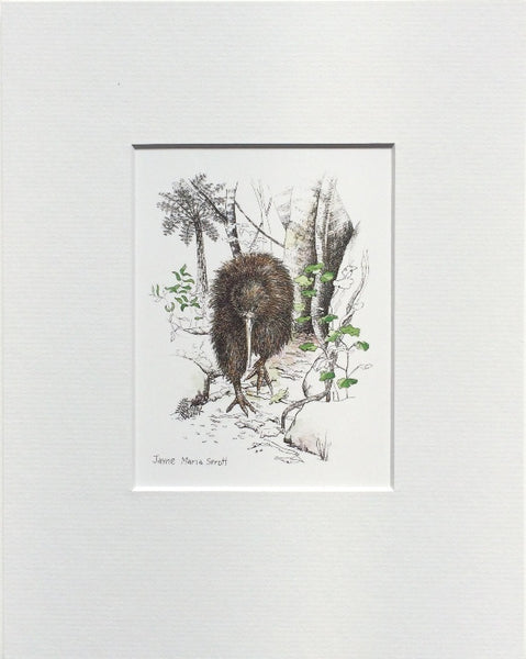 Mount, Single - NZ Bird Kiwi