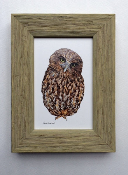 Wooden Framed NZ Native Owl Morepork