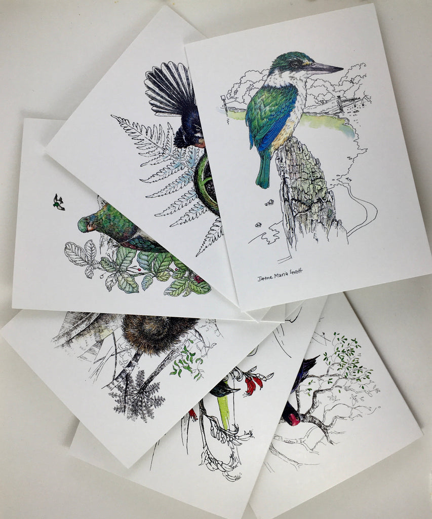 Cards, Set of 6 Native birds