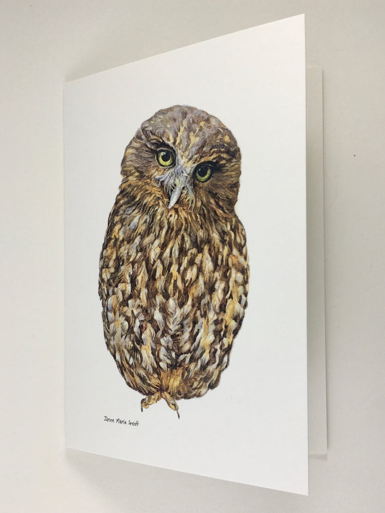 Card, NZ native owl, Morepork (Ruru)