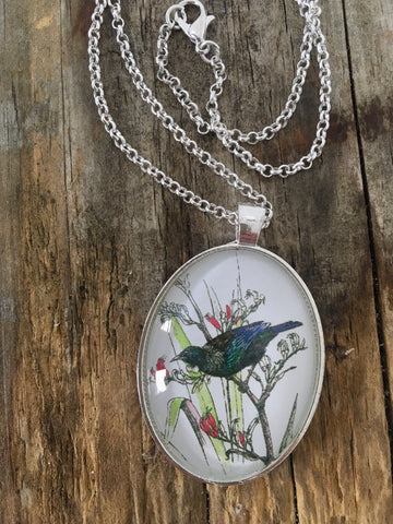 Jewellery - New Zealand Tui Pendant