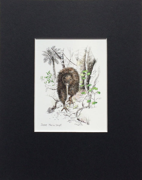 Mount, Single - NZ Bird Kiwi
