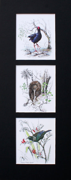Mount, Triple Upright - NZ Native Birds
