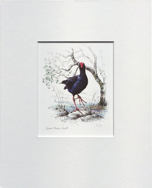 Mount, Single - NZ Bird Pukeko