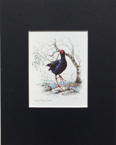 Mount, Single - NZ Bird Pukeko