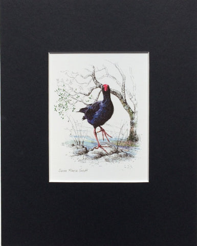 Mount, Single - NZ Bird Pukeko