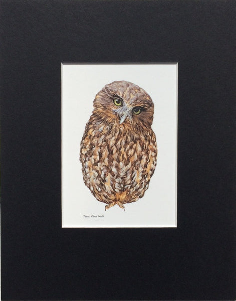 Mount, Single - NZ Owl the Morepork