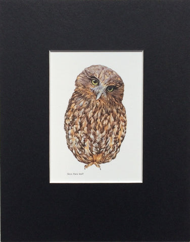 Mount, Single - NZ Owl the Morepork