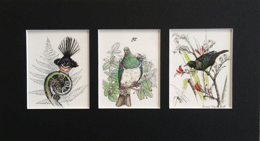 Mount, Triple - NZ Native birds