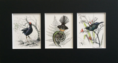 Mount, Triple - NZ native Birds