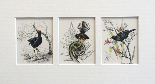 Mount, Triple - NZ native Birds