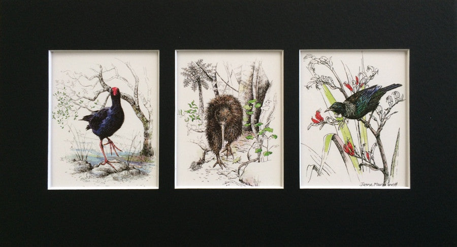 Mount, Triple - NZ Native Birds