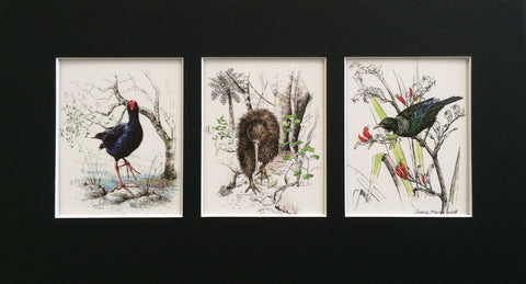 Mount, Triple - NZ Native Birds