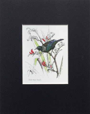 Mount, Single - NZ Bird Tui